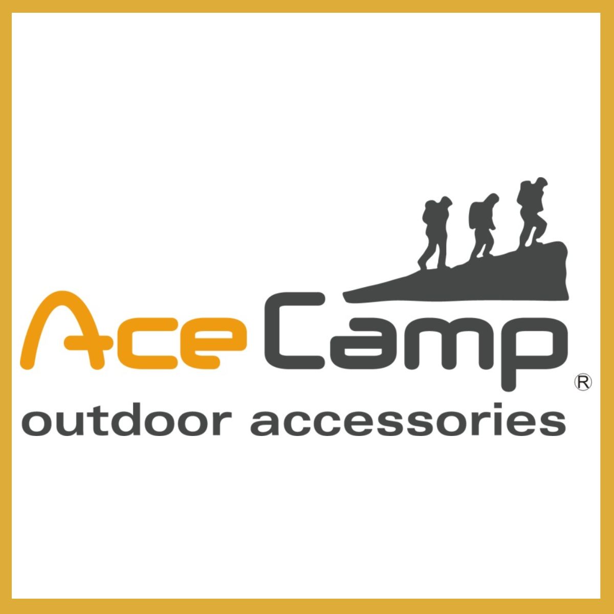 ACE Camp
