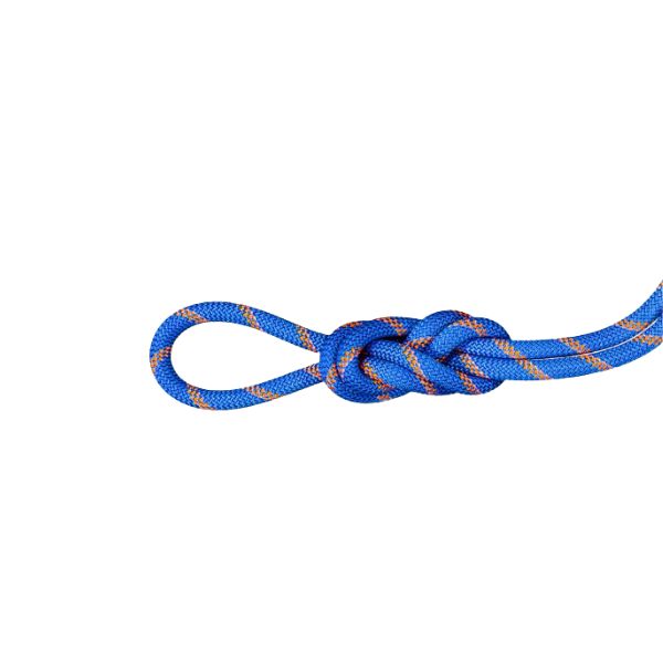 Mammut 9 Alpine Sender Dry Rope 40m