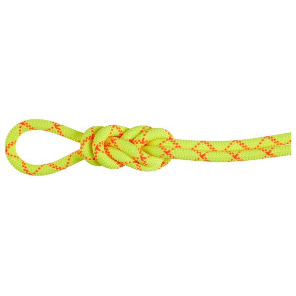 Mammut 9.5 Alpine Core Protect Dry Rope