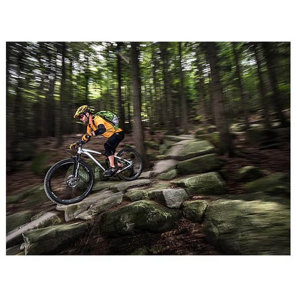 Σακίδιο Ride 25 Pinguin - Image 16